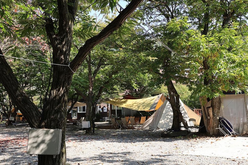 알프스펜션 캠핑&글램핑 시설 사진 1