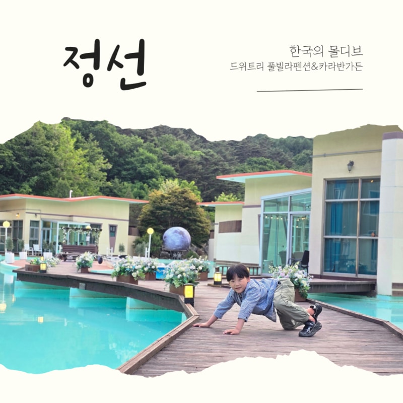 강원도  글램핑&카라반 정선 가볼만한 곳 하루면 반할 힐링...