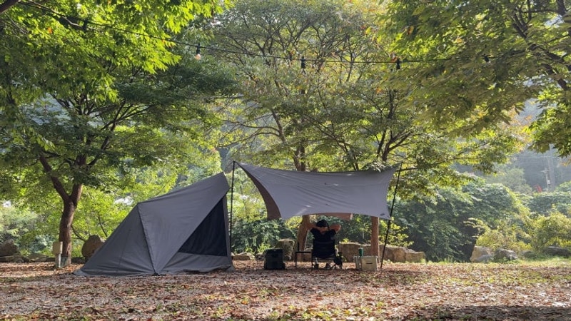 포천 담터 금학캠핑장 방문기 - 가을 전어 숯불 구이, 캠핑장 추천