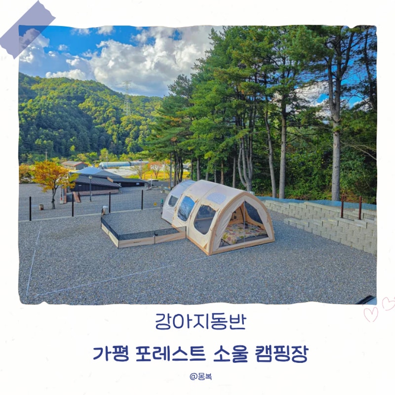 강아지동반 [ 가평 포레스트 소울 캠핑장, B4 / 2박3일 ] 4번째...