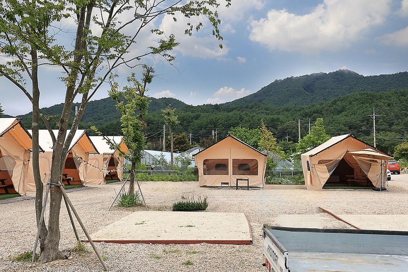 고성 탑 글램핑 농원 시설 사진 6