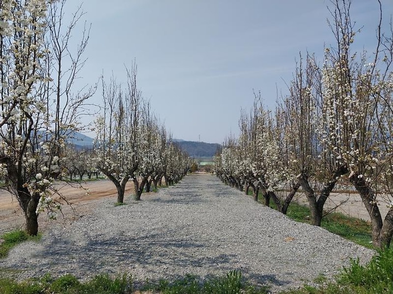 팜앤투어 캠핑장 대표 사진