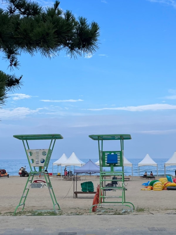 고성 송지호해수욕장 오호캠핑장 노지 후기(취사O, 샤워실...