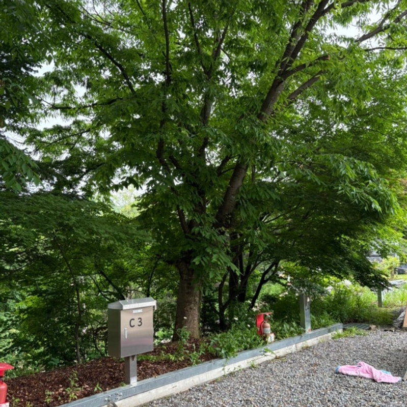 [안성] 안성별숲캠핑장 | 깨끗하고 조용한 캠핑장 추천 (C3...