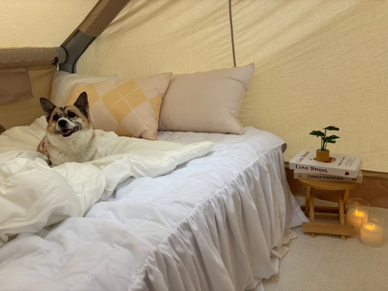 [서산] 애견동반 반려견동반... 캠핑장 서산벌천포캠핑장...