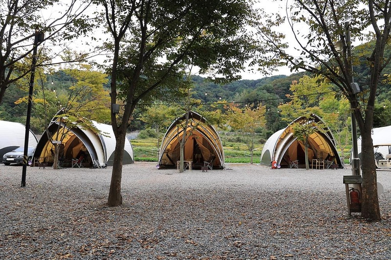 숲속에 머물다 시설 사진 13