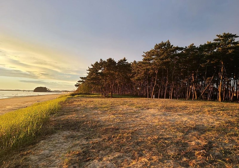 태안노을숲캠핑장 시설 사진 8