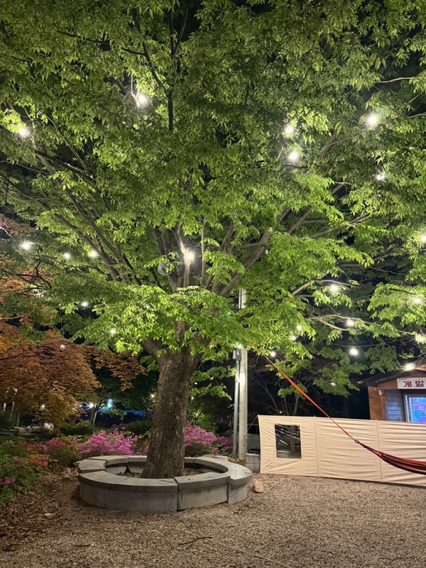 상주 " 펀펀오토캠핑장 "