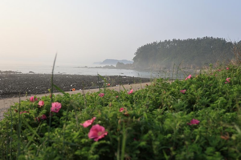 파도와노을캠핑장 시설 사진 13