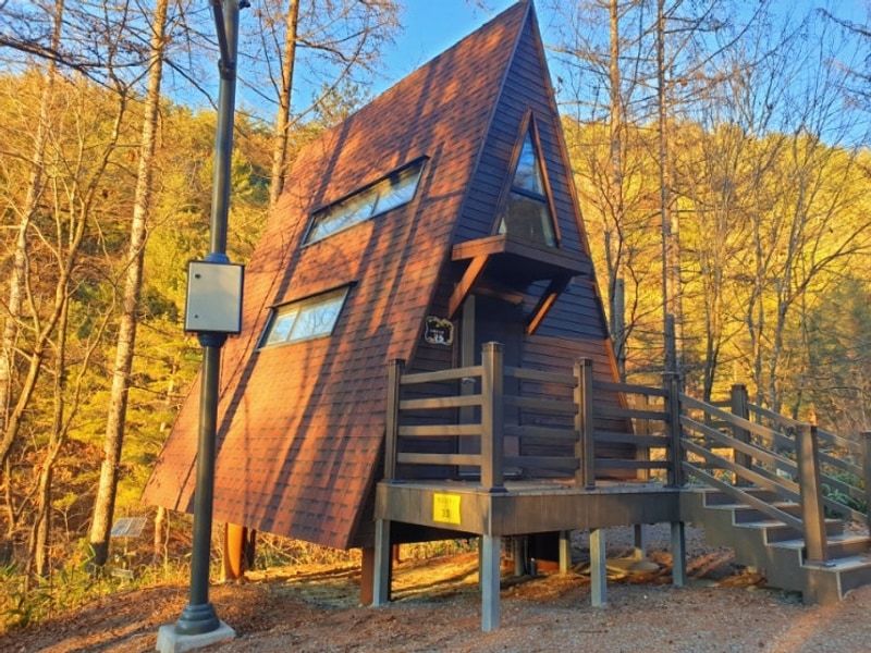 태백 고원자연휴양림 휴양관... 철암고원힐링캠핑장 곧 개장