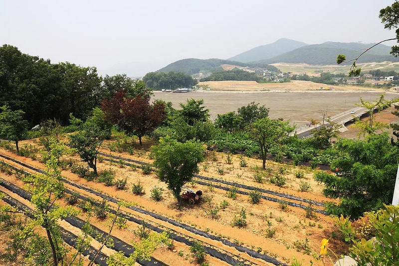 하늘정원캠핑장 시설 사진 14