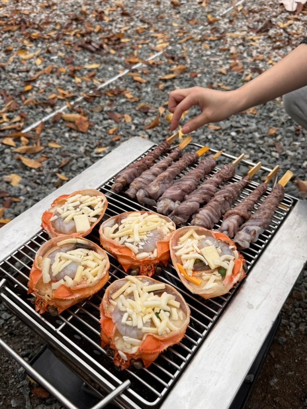 가평 신상 캠핑장 소프 SOPH내돈솔직후기,전기차 캠핑...