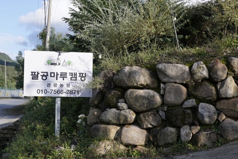 대구캠핑장 군위 팔공마루오토캠핑앤캠프닉: 노키즈 감성...