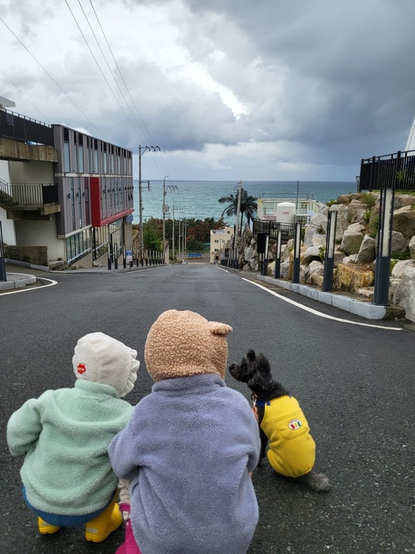 [경주여행] 뷰델카라반펜션 경주애견동반 가능한 오션뷰...