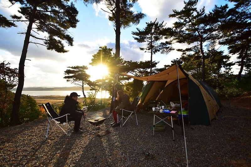 아잘리아 그린 대표 사진