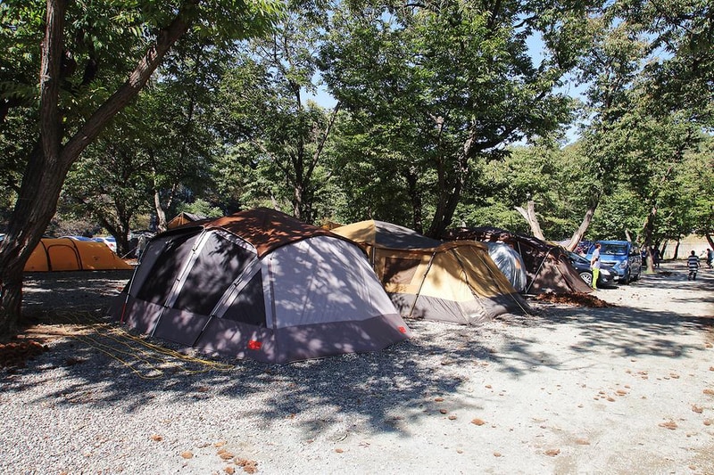 초평밤나무 시설 사진 6