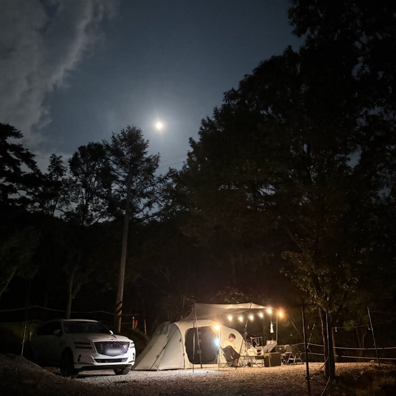 홍천 오도치 캠핑장 / D-03