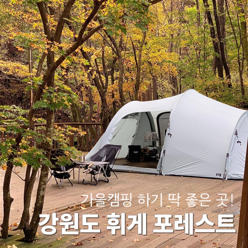 단풍 시작된 강원도 ㅣ 평창 휘게 포레스트 캠핑 후기