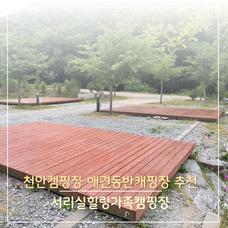 천안캠핑장 애견동반 가능 가족캠핑장 추천 서리실힐링가족캠...