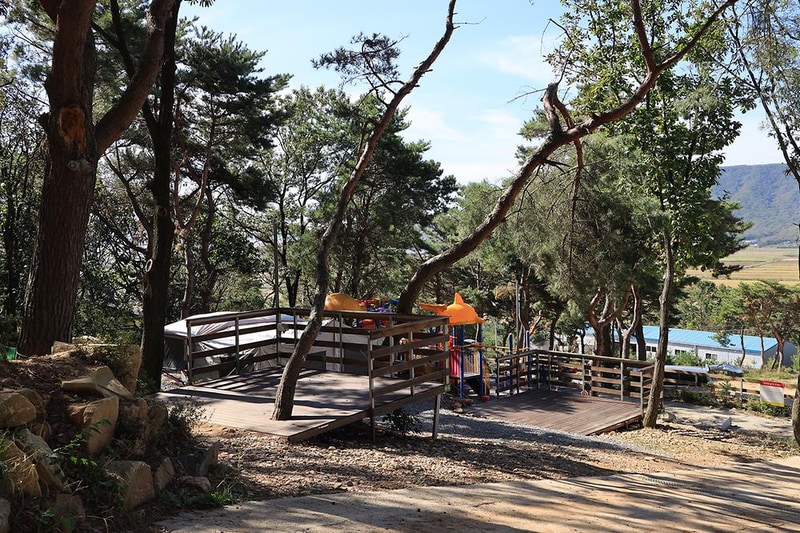 강화도 아침 숲속야영장 시설 사진 31