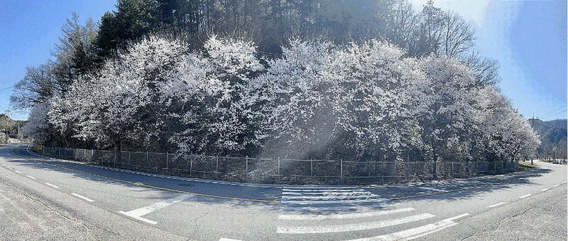 우리들캠핑장 시설 사진 15