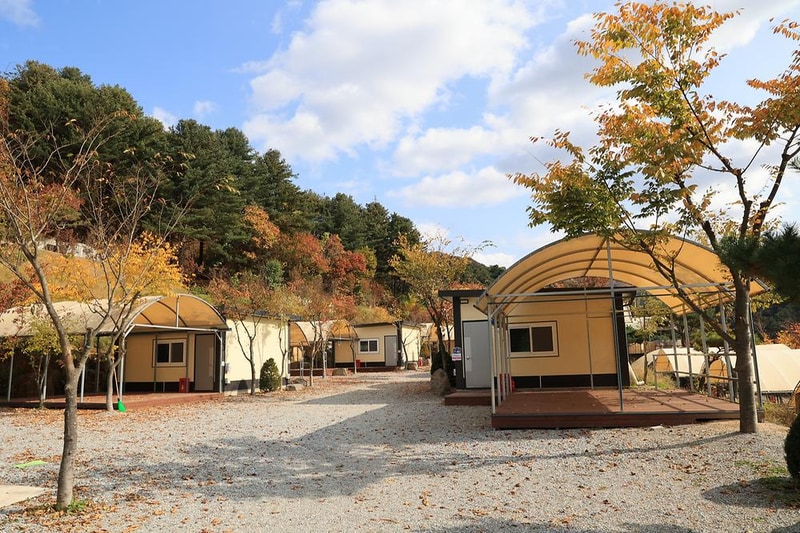 금동휴양림캠프1 시설 사진 6