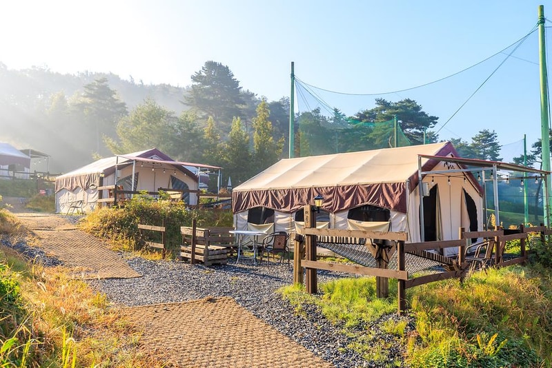 토마스캠프&레드캐빈 시설 사진 9