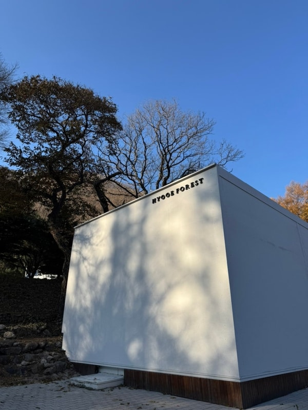 평창 휘게 포레스트 캠핑장 B2 사이트 방문 후기