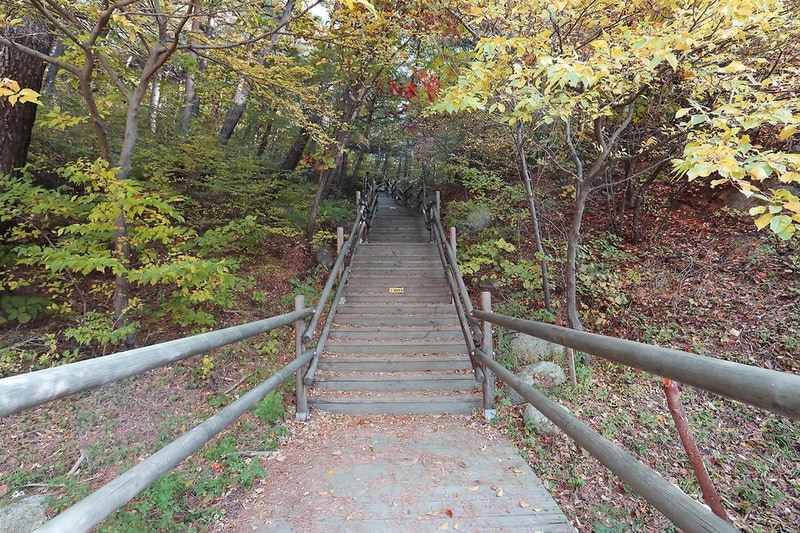 국립자연휴양림관리소 칠보산 자연휴양림 시설 사진 14