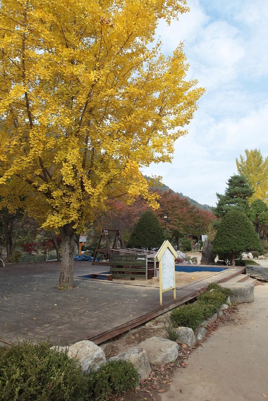 괴강관광농원 시설 사진 88