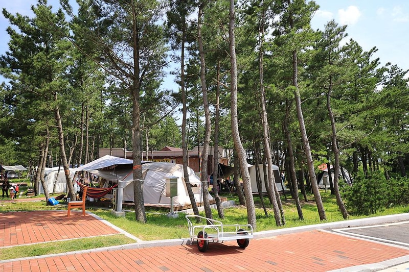 자작도캠핑장 시설 사진 7