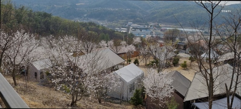[포천 캠핑장] 캠핑플래닛 아이들과 함께하기 좋은