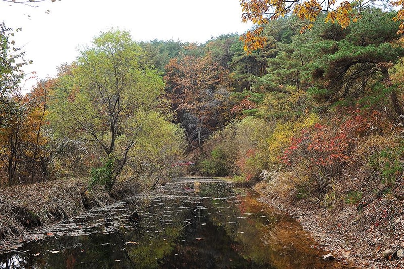 룩스글램핑앤팜 시설 사진 17