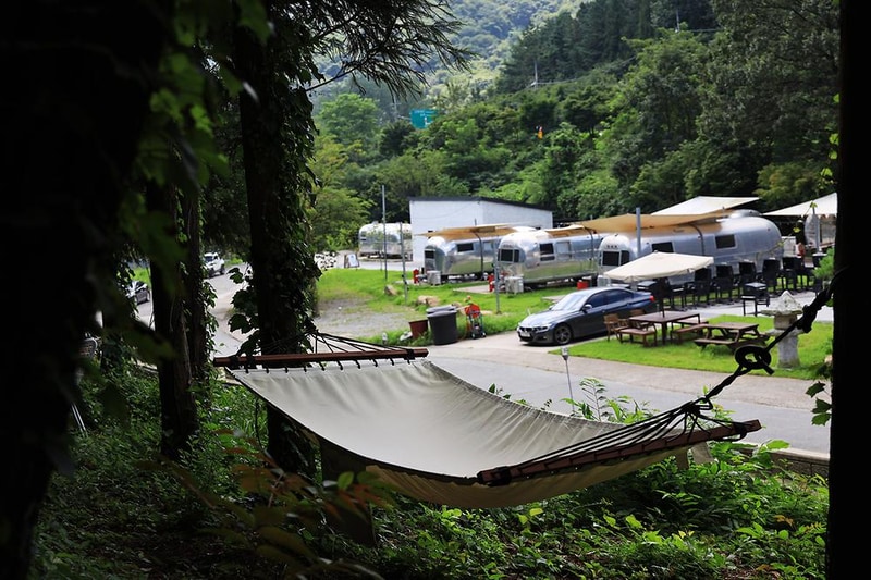 선인장 시설 사진 12