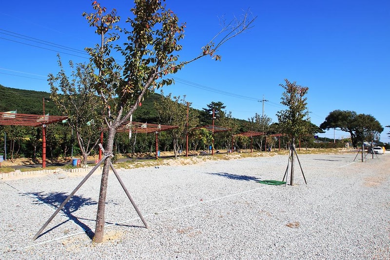 보경사힐링캠핑장 시설 사진 17