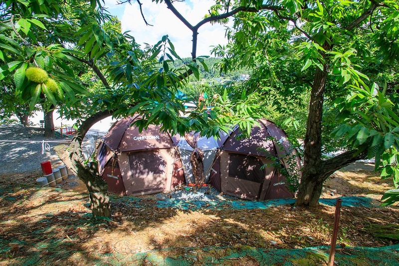 천안밤나무골 가족캠핑농원 시설 사진 16