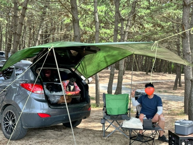 [애견동반캠핑] 애견동반가능한 태안 석갱이 오토캠핑장 후기