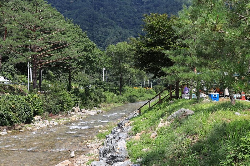 J캠핑장 시설 사진 5