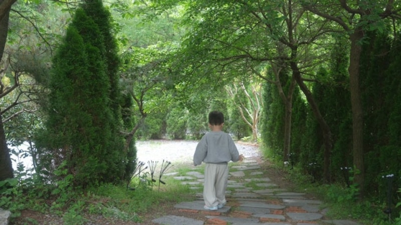 경북 고령 캠핑장 숲에안기다 2025년 5월 아이랑 가족 캠핑
