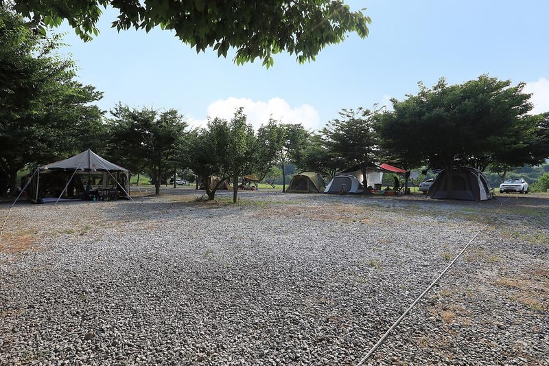 자연애캠핑장 시설 사진 14