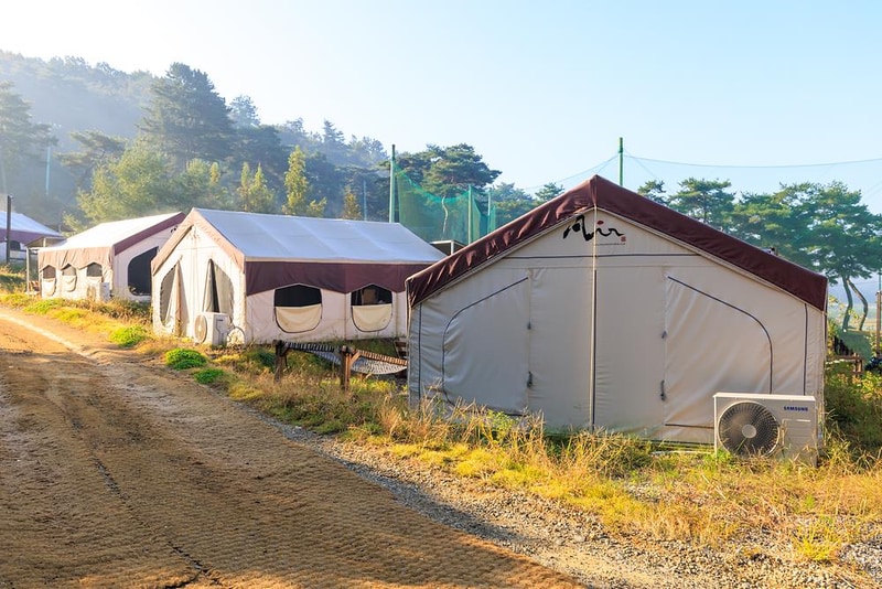 토마스캠프&레드캐빈 시설 사진 13