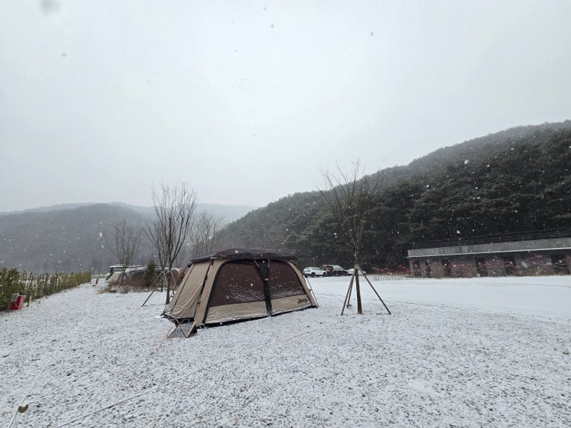 넓고 깨끗한 충북오토캠핑장 고릴라캠핑in속리산