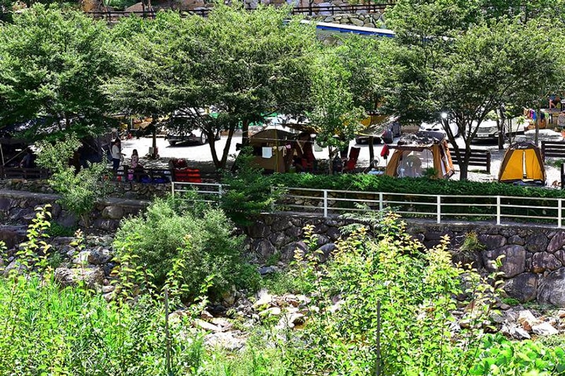 무릉도원 오토캠핑장 대표 사진