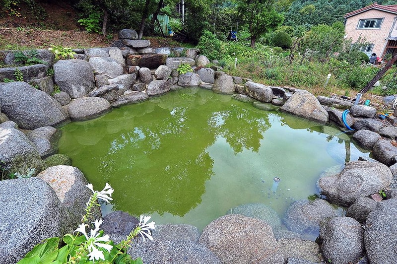 닥박골 휴양림 시설 사진 4