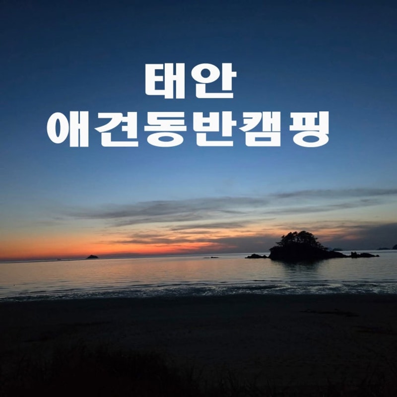나로글램핑캠핑장 I 태안애견동반캠핑장 I 학암포애견동반캠핑장