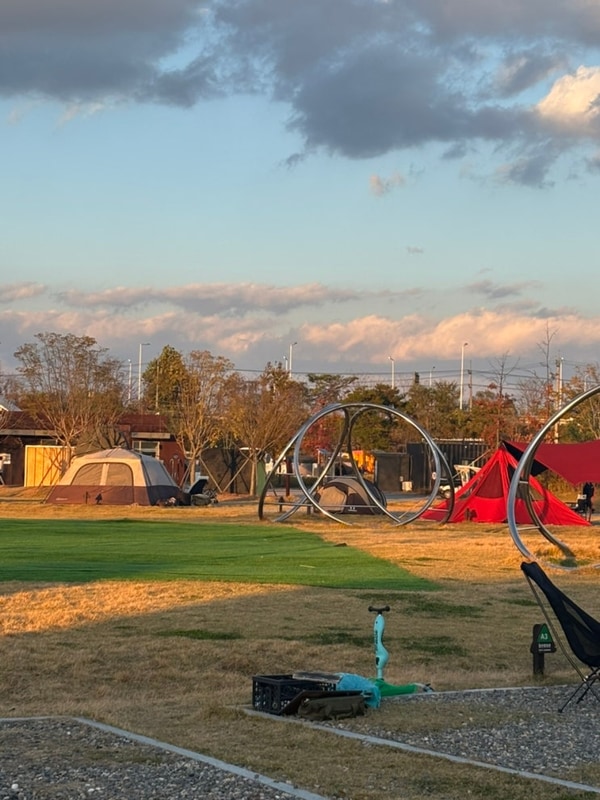 파주 평화누리캠핑장(일반캠핑존)┃왜 사람들이 좋아하는지...