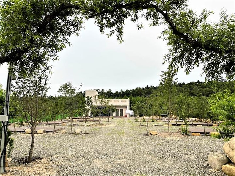 고라니 오토캠핑장 대표 사진