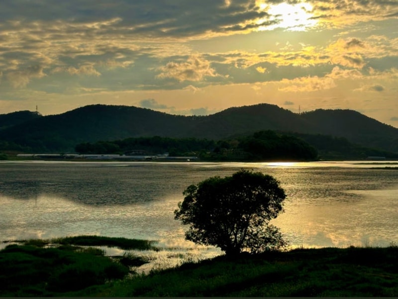 "[충남 서천] 블루아일랜드 캠핑장 후기️"