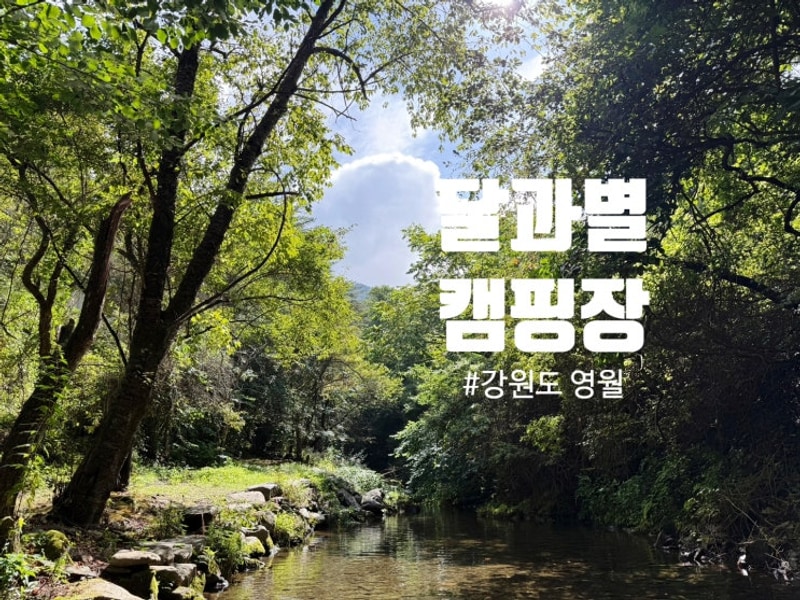 강원도 영월 맑은 계곡과 별이 쏟아지는, 달과별 캠핑장 A-03...