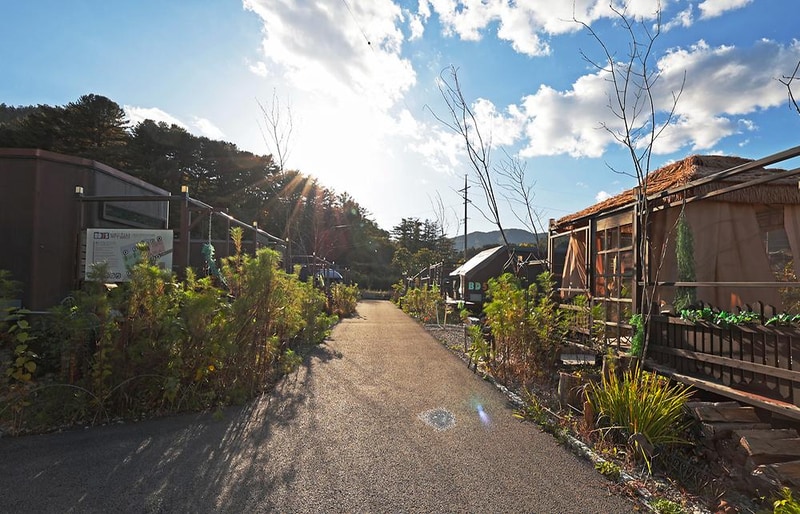 가평 북두칠성 글램핑 시설 사진 15